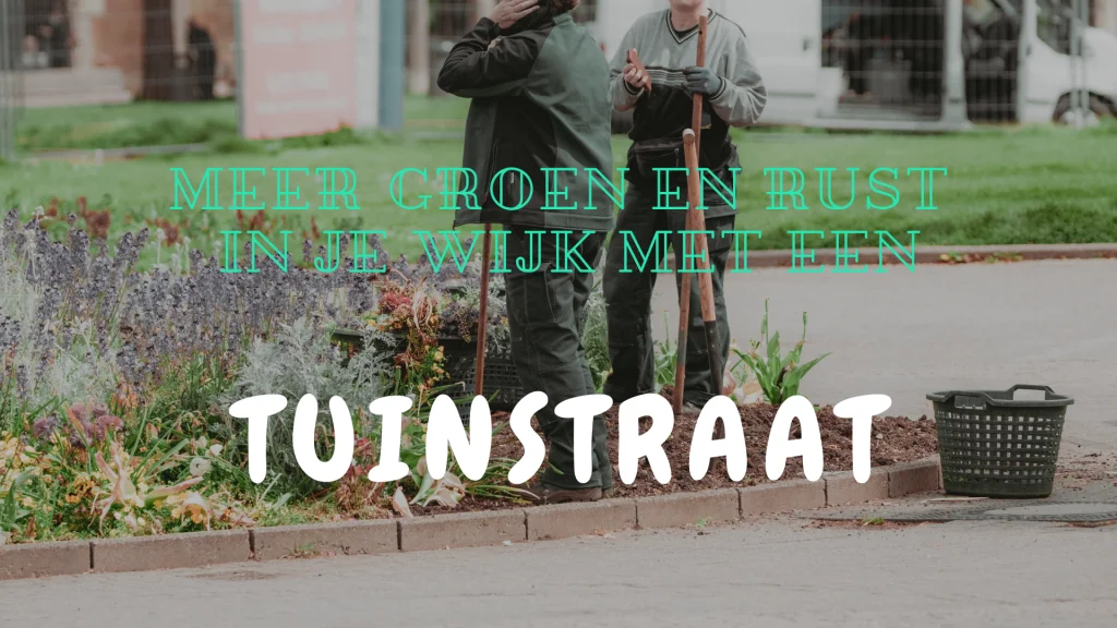 Appartement.be artikel tuinstraat