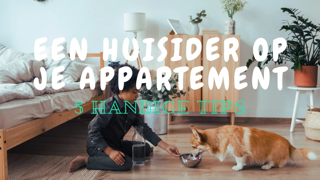 Huisdier op je appartement
