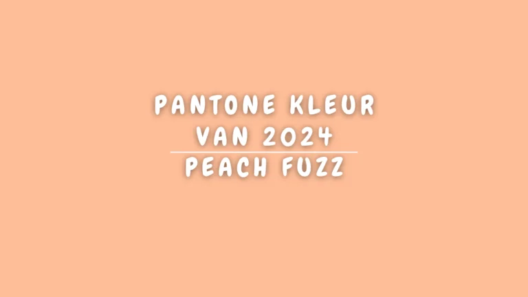 Banner Appartement - Pantone kleur van 2024 - Peach Fuzz