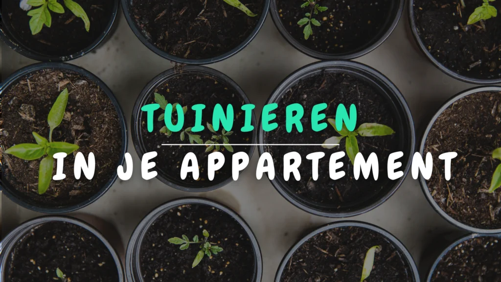 tuinieren in je appartement