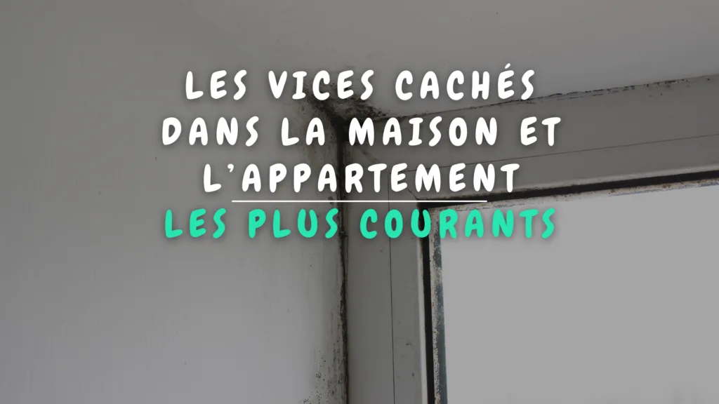 Banner Appartement - Les vices cachés dans la maison et l’appartement