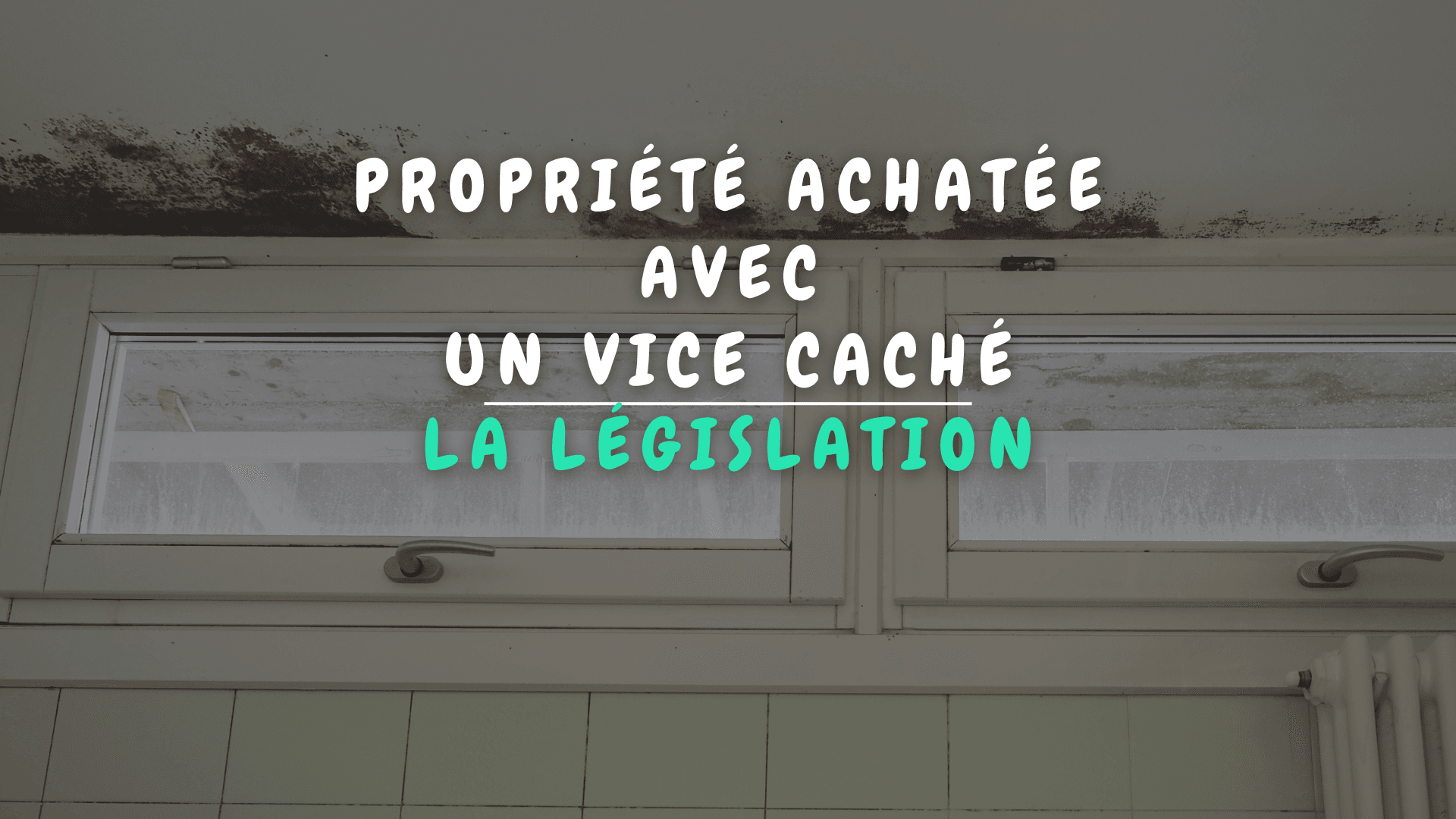 Propriété achetée avec un vice caché : que faire